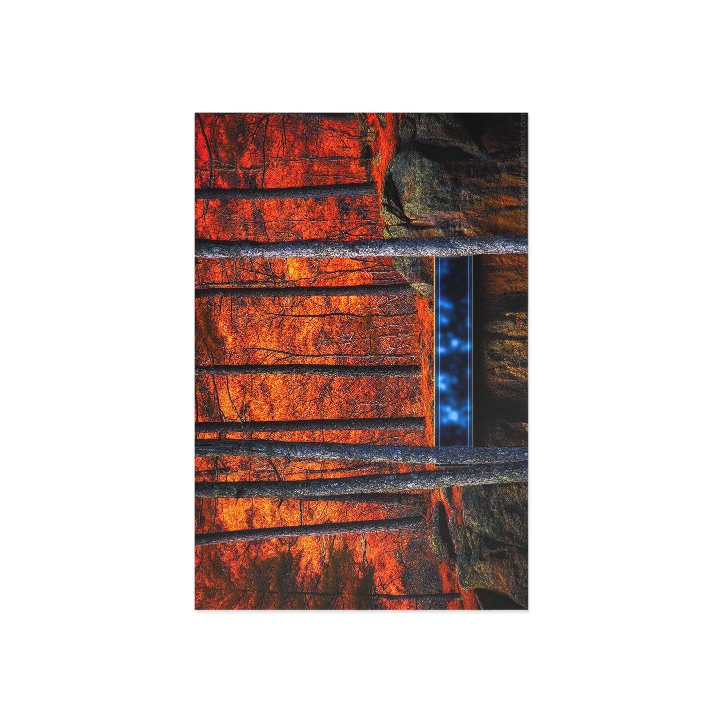Fine Art Postcard | North Country Nature Surreal Art | Foliage Surreal Box