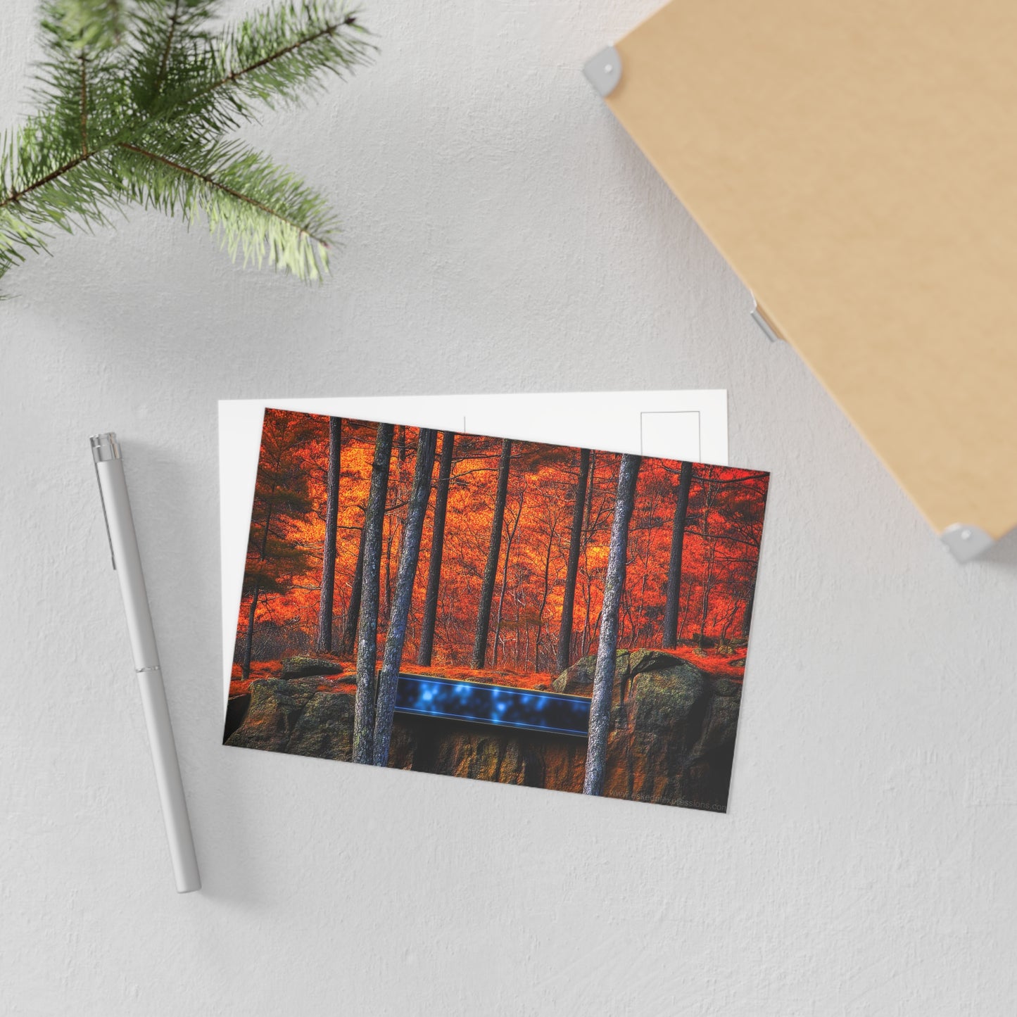 Fine Art Postcard | North Country Nature Surreal Art | Foliage Surreal Box