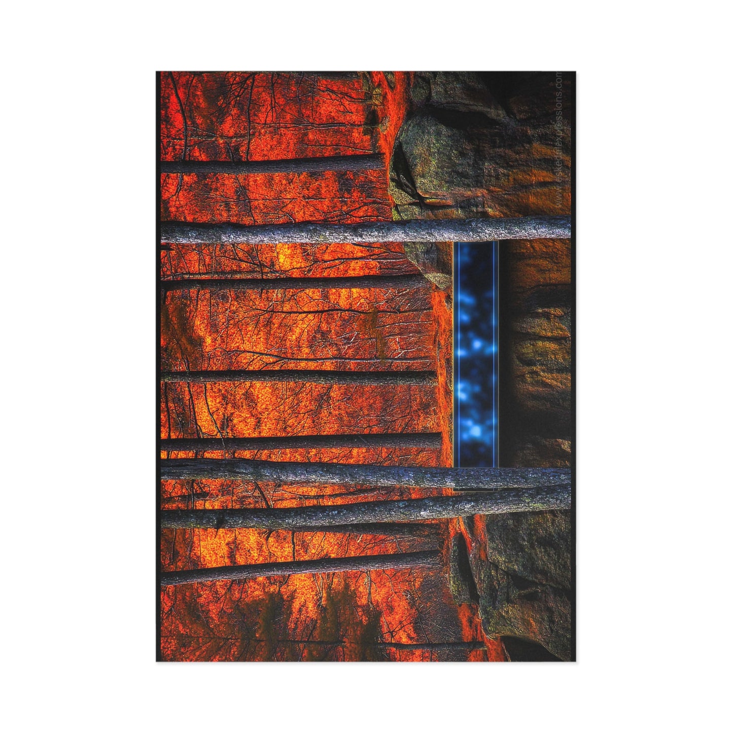 Fine Art Postcard | North Country Nature Surreal Art | Foliage Surreal Box