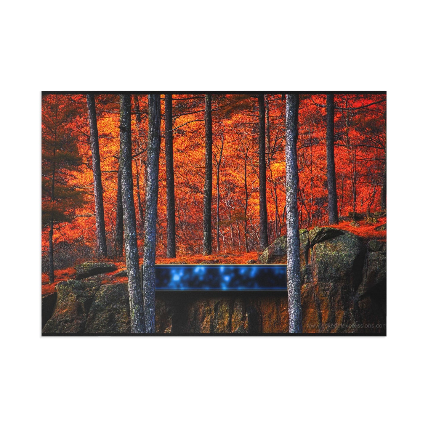 Fine Art Postcard | North Country Nature Surreal Art | Foliage Surreal Box