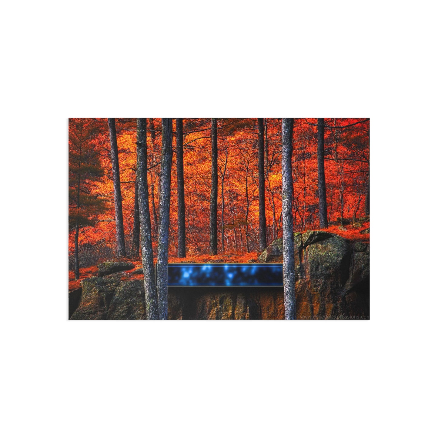 Fine Art Postcard | North Country Nature Surreal Art | Foliage Surreal Box