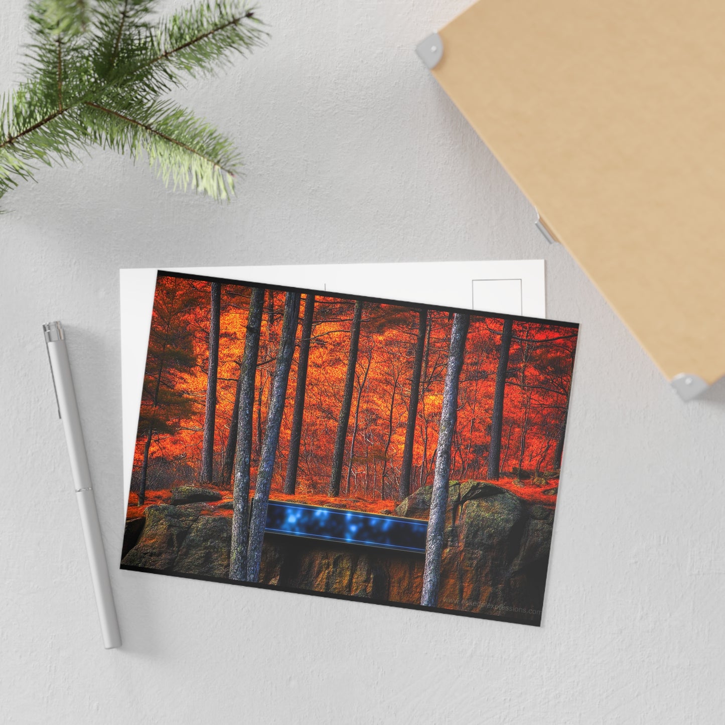 Fine Art Postcard | North Country Nature Surreal Art | Foliage Surreal Box