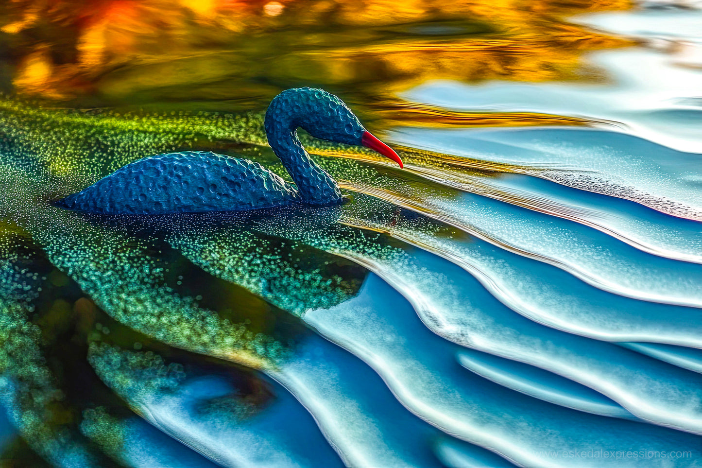 Fine Art Postcard | North Country Nature Surreal Art | Waterbird