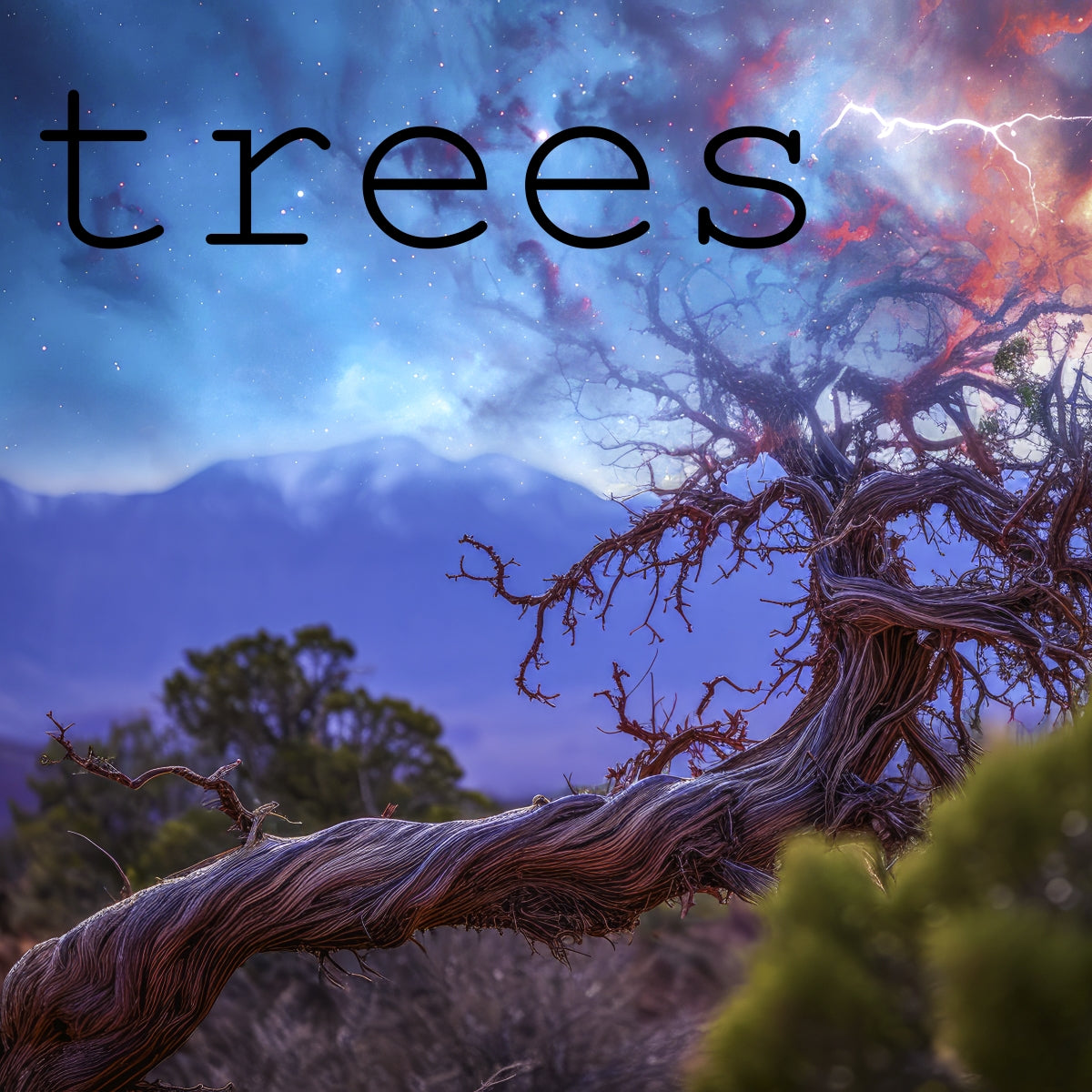 Trees