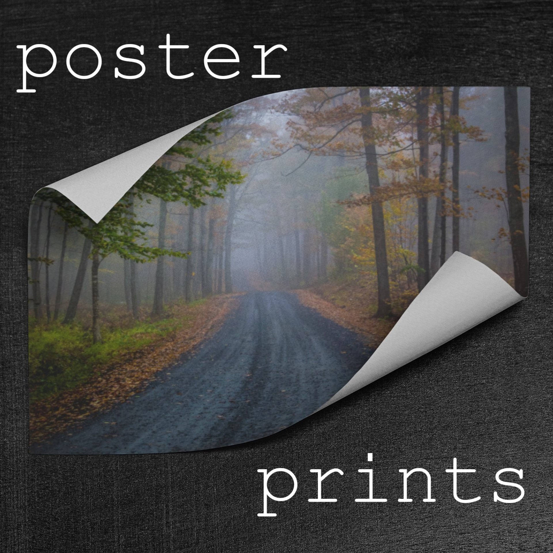 Poster Prints